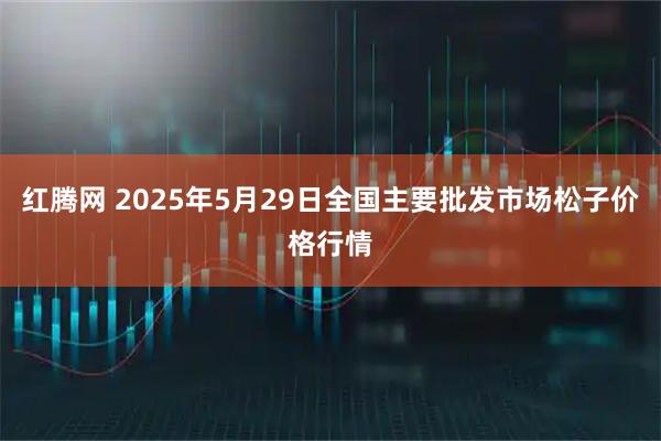 红腾网 2025年5月29日全国主要批发市场松子价格行情