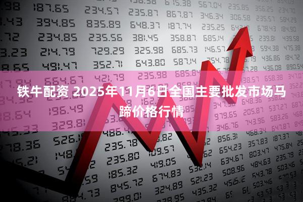 铁牛配资 2025年11月6日全国主要批发市场马蹄价格行情