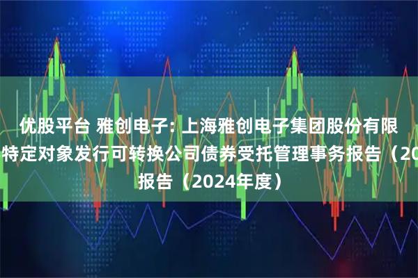 优股平台 雅创电子: 上海雅创电子集团股份有限公司向不特定对象发行可转换公司债券受托管理事务报告（2024年度）