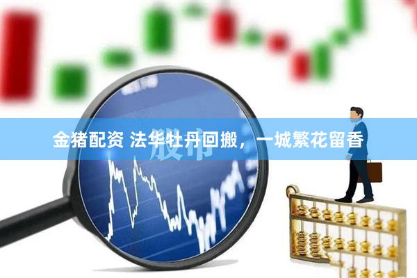 金猪配资 法华牡丹回搬，一城繁花留香