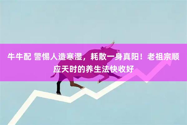 牛牛配 警惕人造寒湿，耗散一身真阳！老祖宗顺应天时的养生法快收好